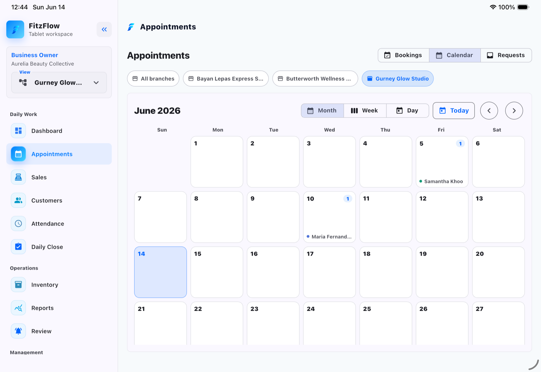 FitzFlow tablet appointment calendar in month view.