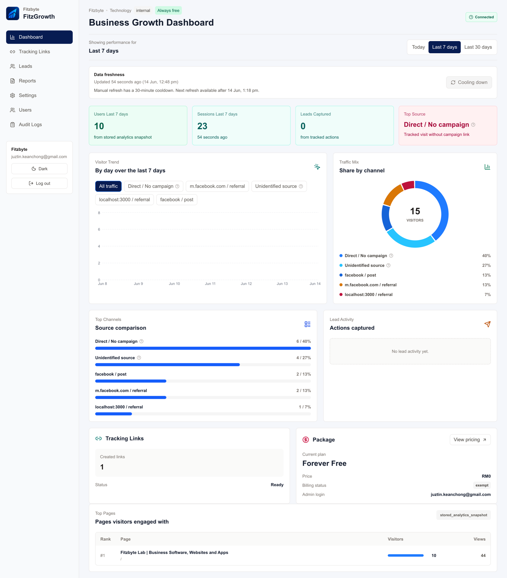 FitzGrowth dashboard showing users, sessions, leads, top source, visitor trend, and traffic mix.